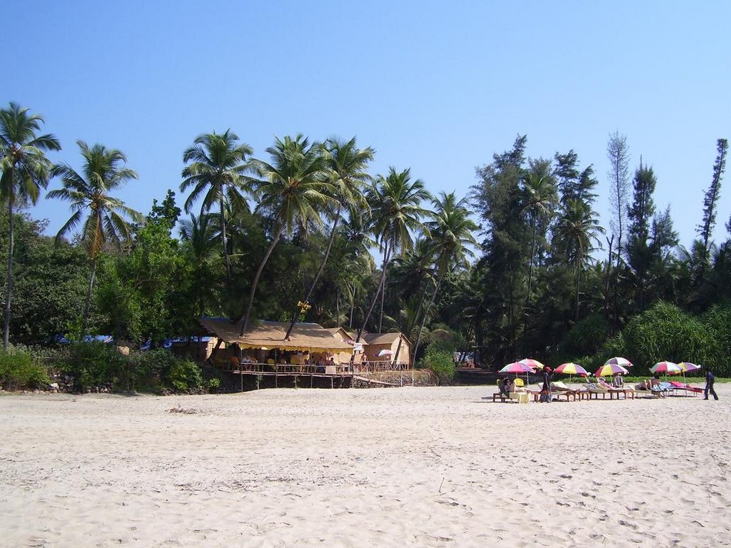 Goa Best Beach
